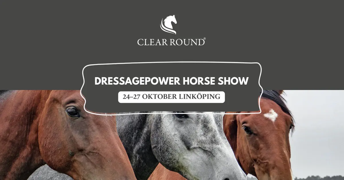 Dressagepower Horse Show